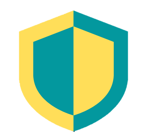 الدبلومات المهنية في القانون و المعلوماتية